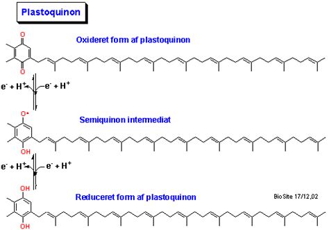 Plastoquinon