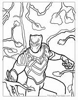 Marvel Black Panther Coloring Pages sketch template