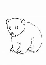 Little Bear coloring page  Download Print Or Color Online For Free sketch template