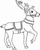 Print Christmas Reindeer coloring Page  Download Or Color sketch template