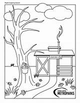 Maple Syrup Activities Kids Activity Sugaring Sheets Worksheets  sketch template