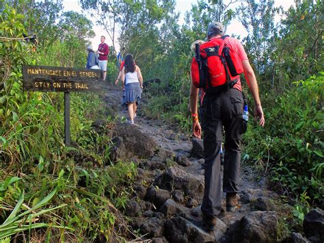 5 Day Wildlife and Cultural Tour, Costa Rica | Monteverde Tours