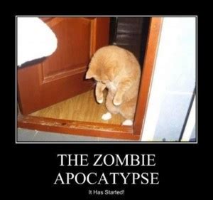 Funny Quotes About The Apocalypse. QuotesGram