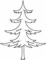 Pine Tree coloring Page  ColouringPages sketch template