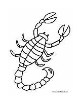 Scorpion Coloring Pages sketch template