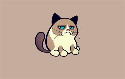 Grumpy Cat Cartoon Wallpapers - Top Free Grumpy Cat Cartoon Backgrounds ...