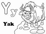 Letter Y Is For Yak Super Coloring Alphabet Pages sketch template
