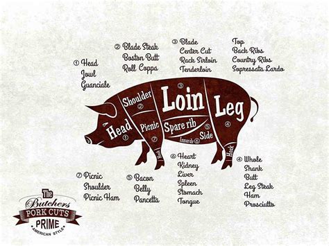 Amazon.com: Pork Meat Pig Cuts Butchers Chart Poster 32 inch x 24 inch ...