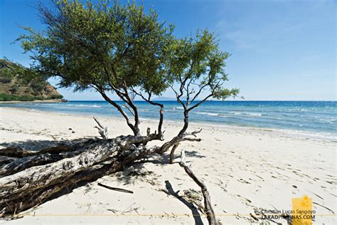 EAST TIMOR | The Beaches of Dili - Lakad Pilipinas