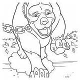 Over The Hedge Coloring Pages Happy Verne  Free Printable sketch template