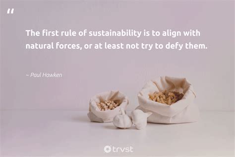 73 Sustainability Quotes & Sayings Inspiring Sustainable Living