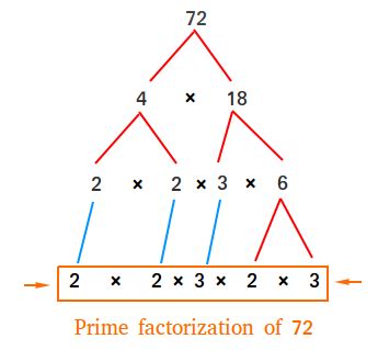 What is a Prime Factorization ? Definition and Examples