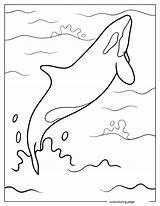 Killer Whale Coloring Pages20  Free Printable coloring Pages Cute sketch template