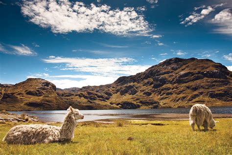 El Cajas National Park - Apullacta Expeditions Ecuador