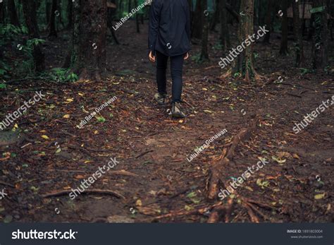 Explore Forest Sembalun Lombok Indonesia Stock Photo 1891803004 ...