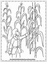Coloring Books About Crops Pages sketch template