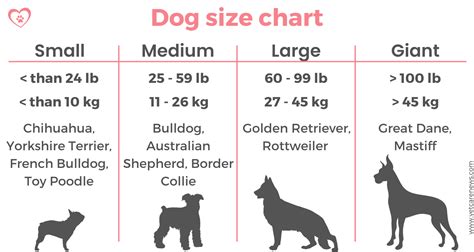 Is your dog small, medium, or large? The ultimate guide to dog sizes - vetcarenews