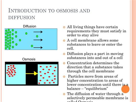 PPT - Osmosis and Diffusion PowerPoint Presentation, free download - ID:5558417