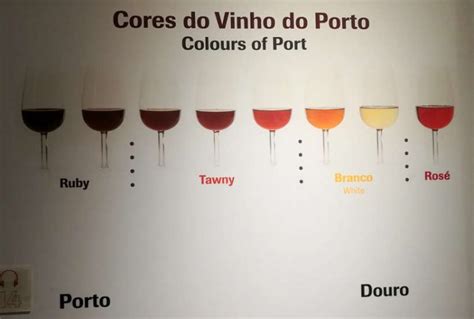 Port Tasting In Porto: 7 Of The Best Wine Cellars To Visit