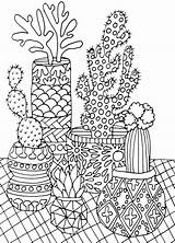 Best Succulent & Cactus Coloring Books Pages  Cleverpedia sketch template