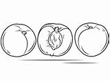 Peaches Coloring Sheet At Ricky Middleton Blog sketch template