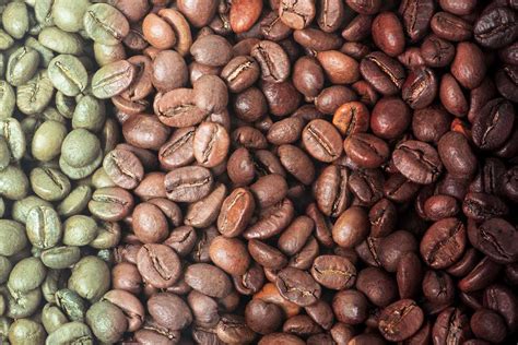 Light, Medium, Dark Roast Coffee: What's the Difference Between Coffee Roasts? | TIME Stamped