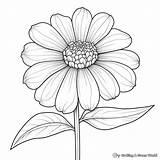 Zinnia Coloring Pages  Free & Printable sketch template