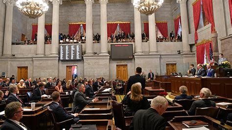 Tennessee election results: What the legislature will be like in 2021