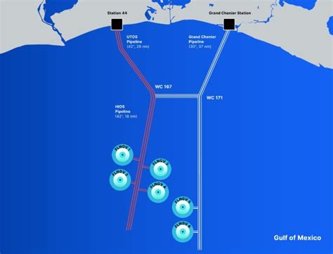 Delfin seals long-term LNG supply deal with Gunvor - LNG Prime