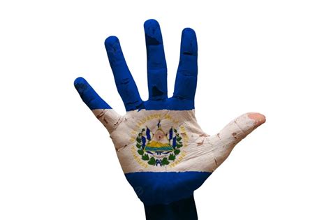 Man Hand Palm Painted Country Flag Of El Salvador Photo Background And ...