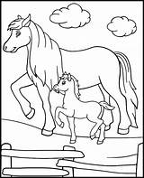 Horses coloring Page For Kids sketch template