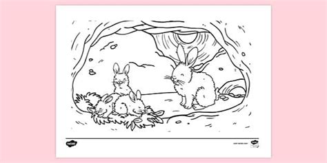 Rabbit Burrow Colouring | Colouring Sheets (teacher made)