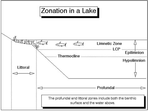 A lentic ecosystem is the ecosystem of a lake | Renhil NamazuKumpulan budidaya ikan, peternakan ...