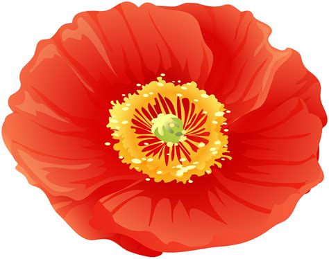 Poppy Flower Clipart Png Clip Art Library - vrogue.co