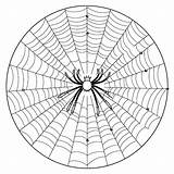 Spider web coloring Pages – Coloring Corner sketch template