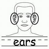 Coloring Page Of Ears  Coloring Home sketch template