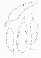 Feather Coloring Page Sheets Pages sketch template