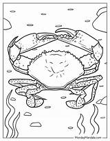 20 Crab Coloring Pages Free PDF Printables sketch template