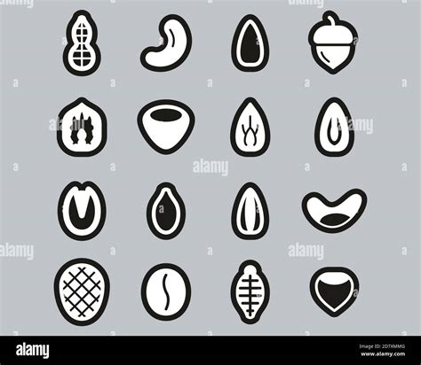 Healthy Snacks Or Nuts Icons White On Black Sticker Set Big Stock Vector Image & Art - Alamy