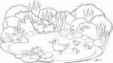 Coloring Pond Stock Illustrations – 1976  sketch template
