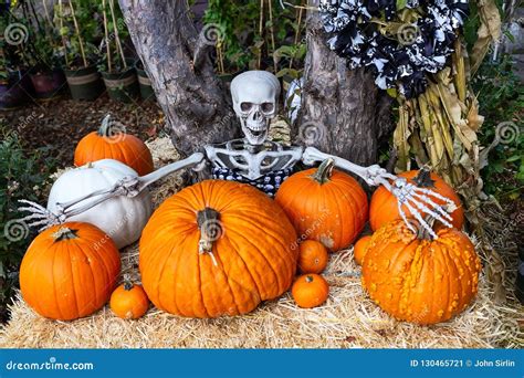 +29 Hay Bales Halloween Decorations 2022 References – Get Halloween ...