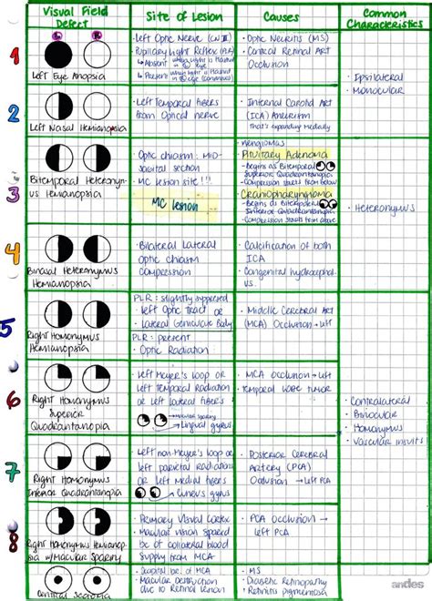 My Notes for USMLE | Optometry education, Optometry students, Optometry