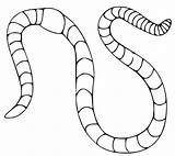 Basic Earthworm coloring Page  Download Print Or Color Online For Free sketch template