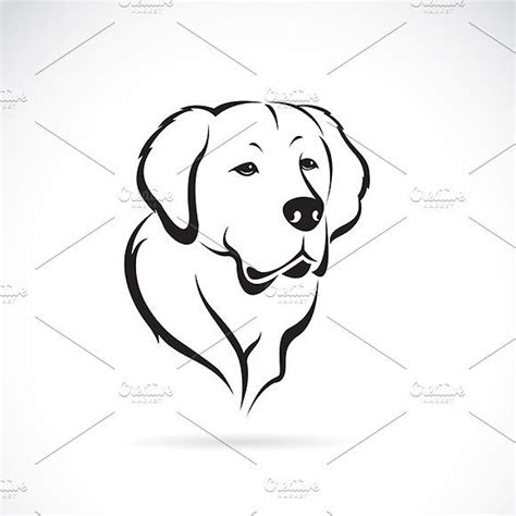 Vector of golden retriever. #white#background#retriever#Vector | Golden retriever vector, Golden ...