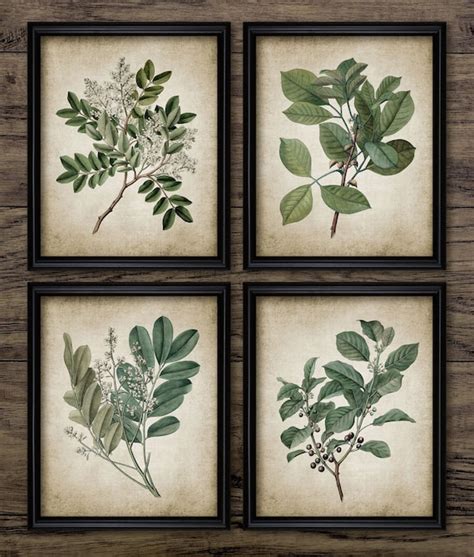 Green Plant Print Set of 4 Vintage Leaves Botanical Art | Etsy