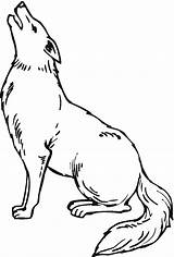 Howling Coyote Coloring Page sketch template