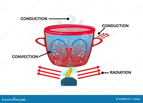 Heat Transfer. Convection Currents Labeled Diagram. Cartoon Vector ...