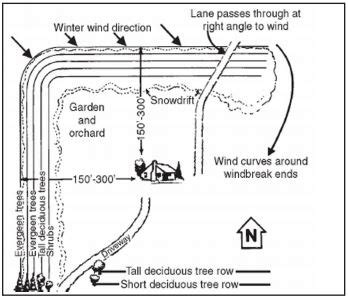 005 - Windbreak Benefits and Design | Fact Sheets | Publications ...