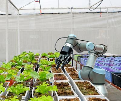 Agricultural Robots: The Future of Job Creation | automate.org