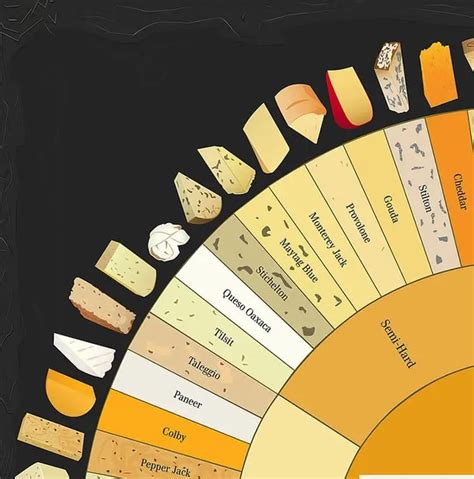 Cheeselovers Will Delight In This Wondrous Giant Cheese Chart